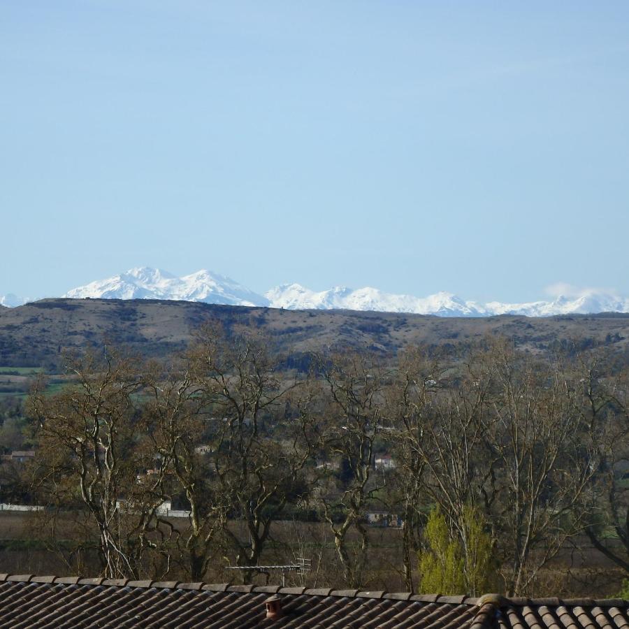 카스텔나우다리 L'Oustal Des Fontanilles B&B 외부 사진